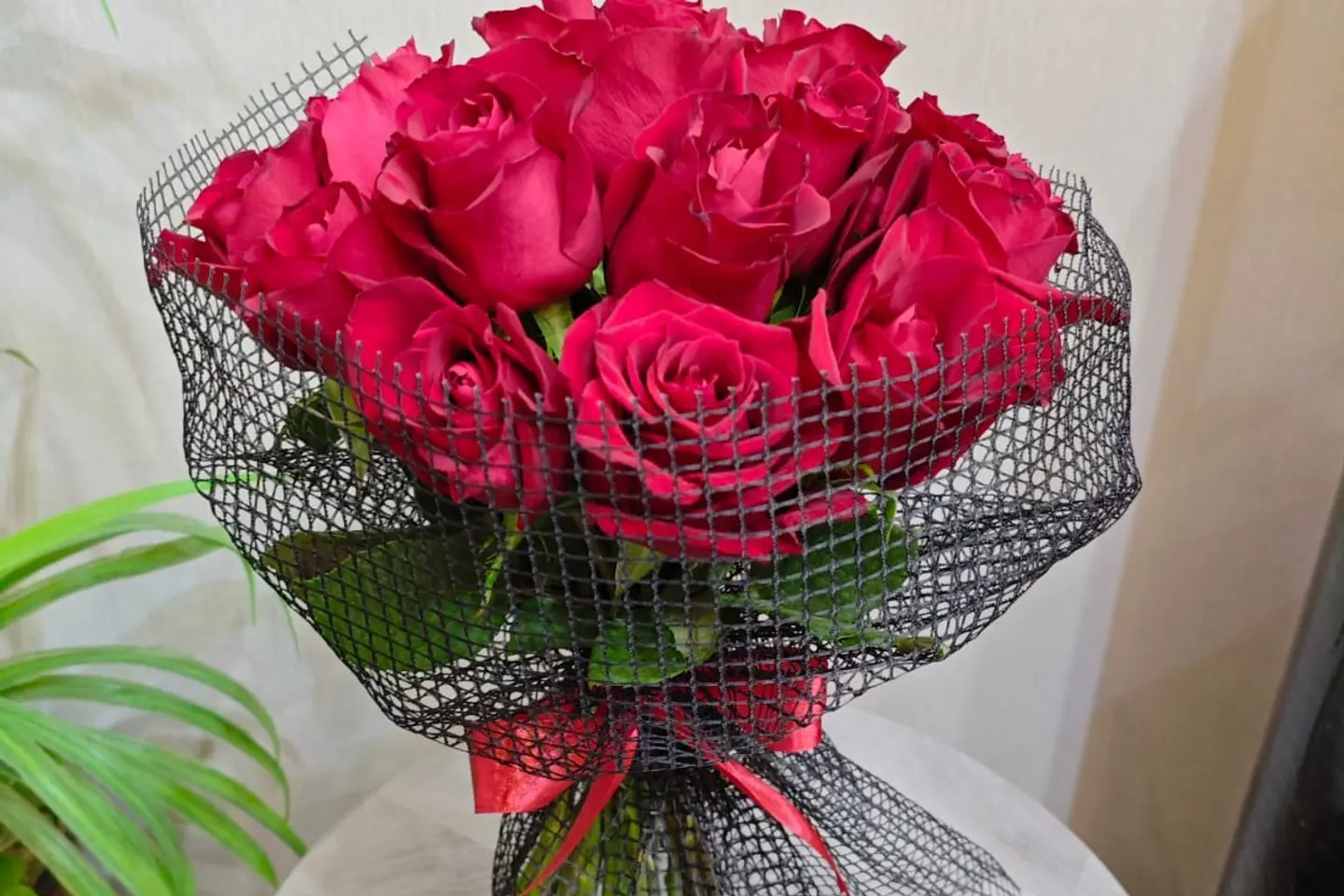 بشبكة سوداء مع وردة حمراء