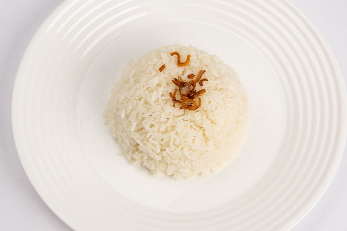 رز ابيض
