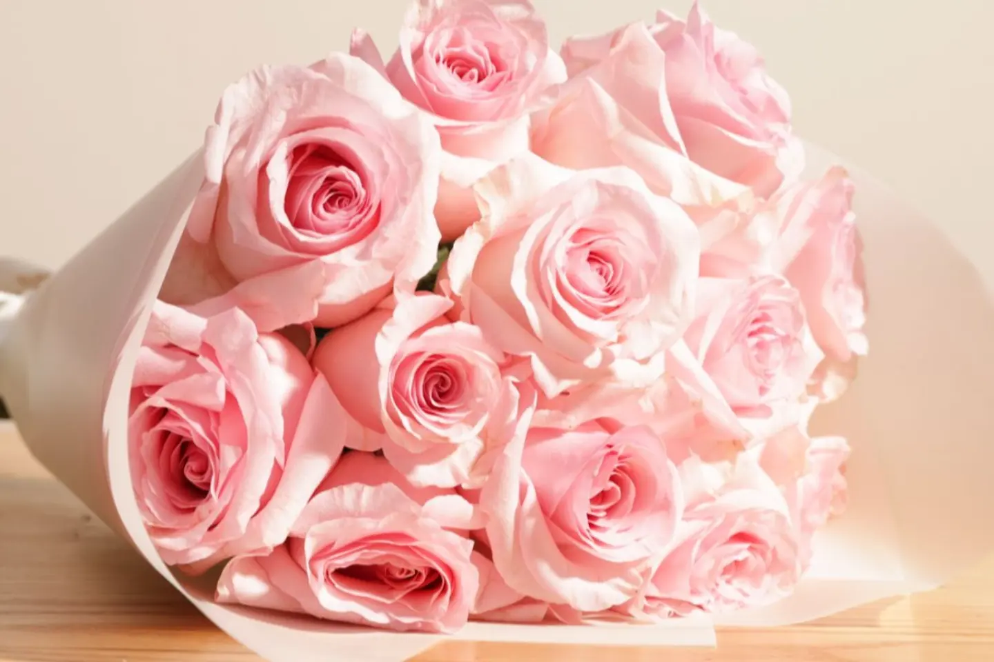 اثناعشر جوري وردي فاتح