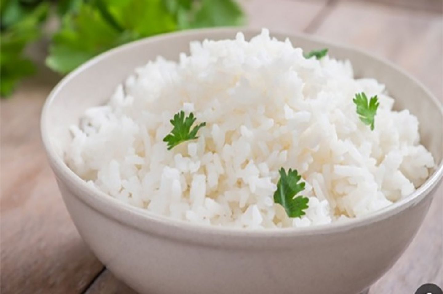 رز ابيض