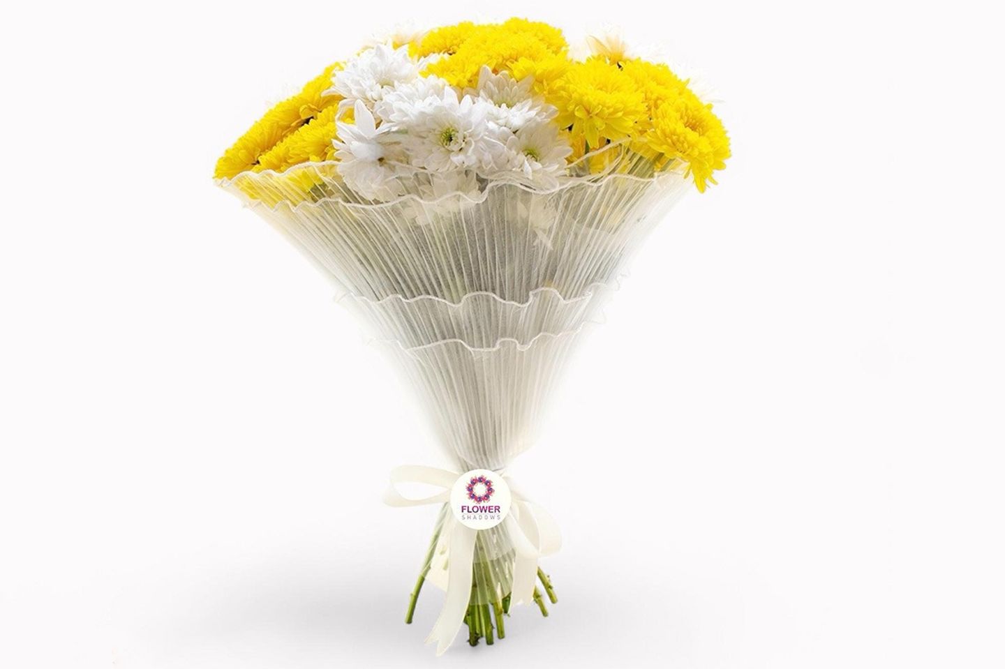 Mix Chrysanthemums 0270