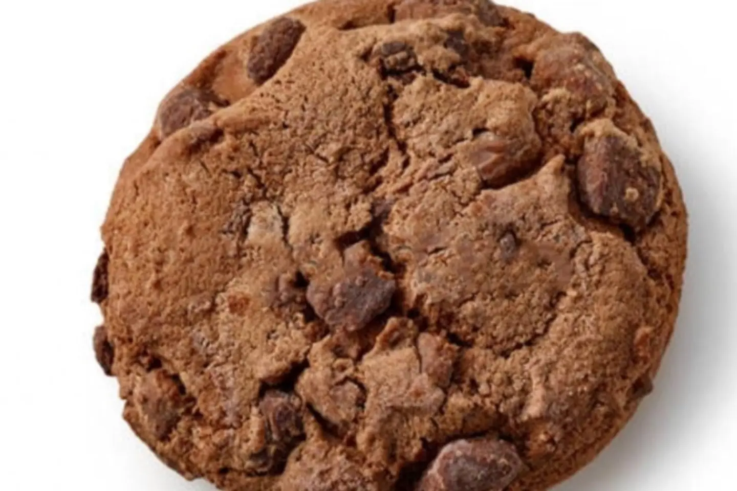 Dutch Coated Chocolate Cookies