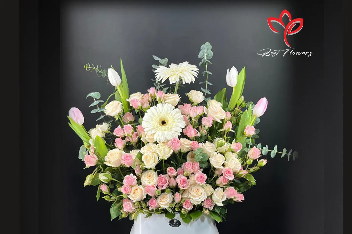 فازة الإبداع