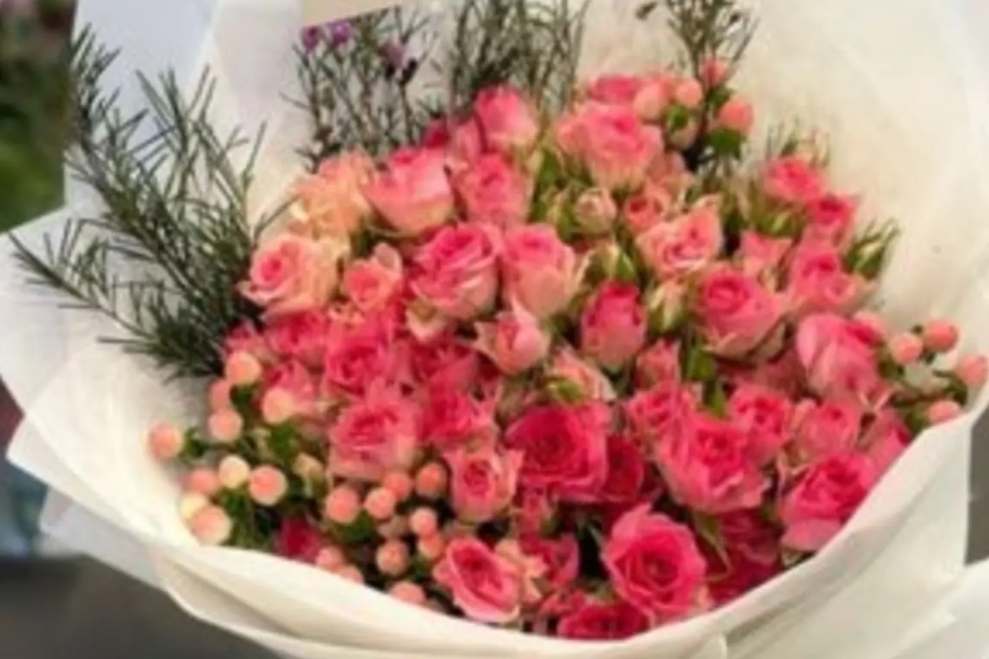 باقة حمدالله على السلامة ٢٢