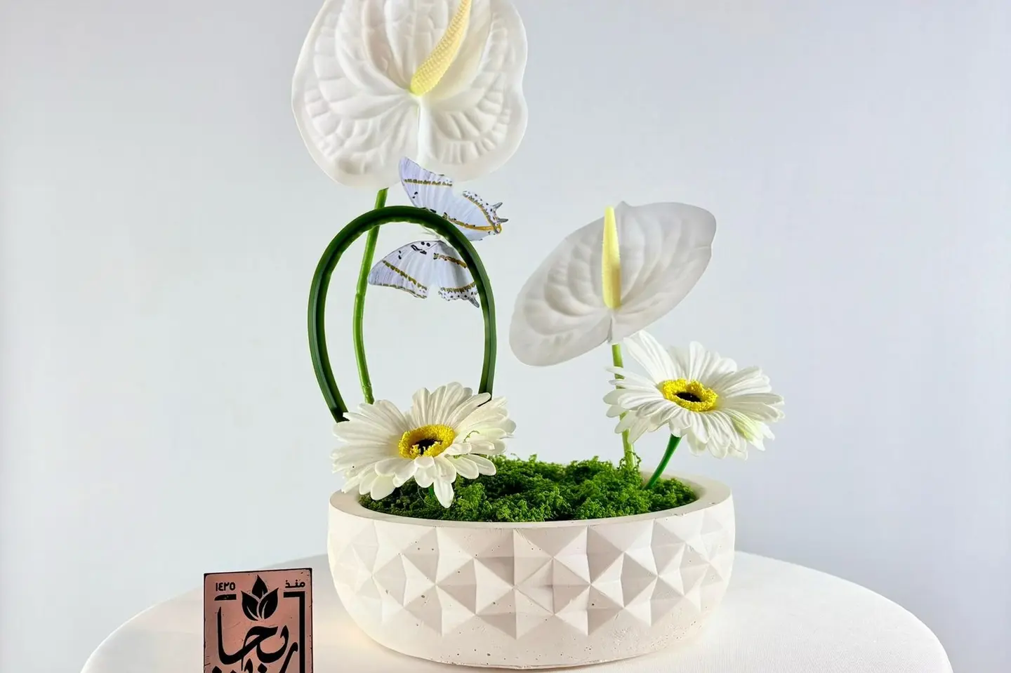 إشراقة الأنثوريوم