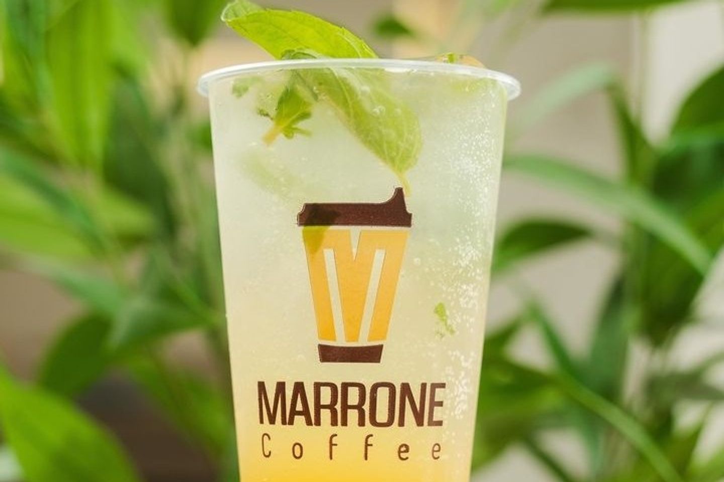 Mojito Passion Fruit