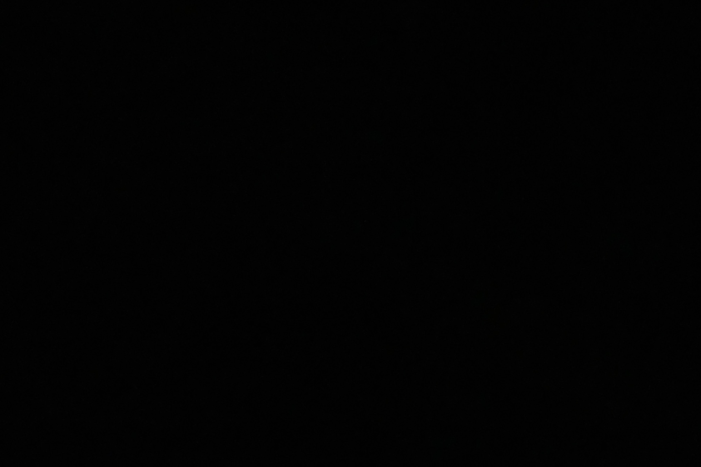 سنكرز بايلوت