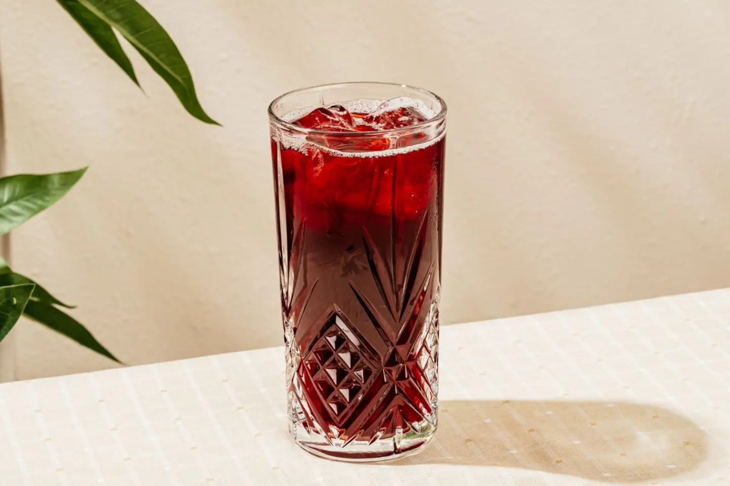 كركدية - بارد
