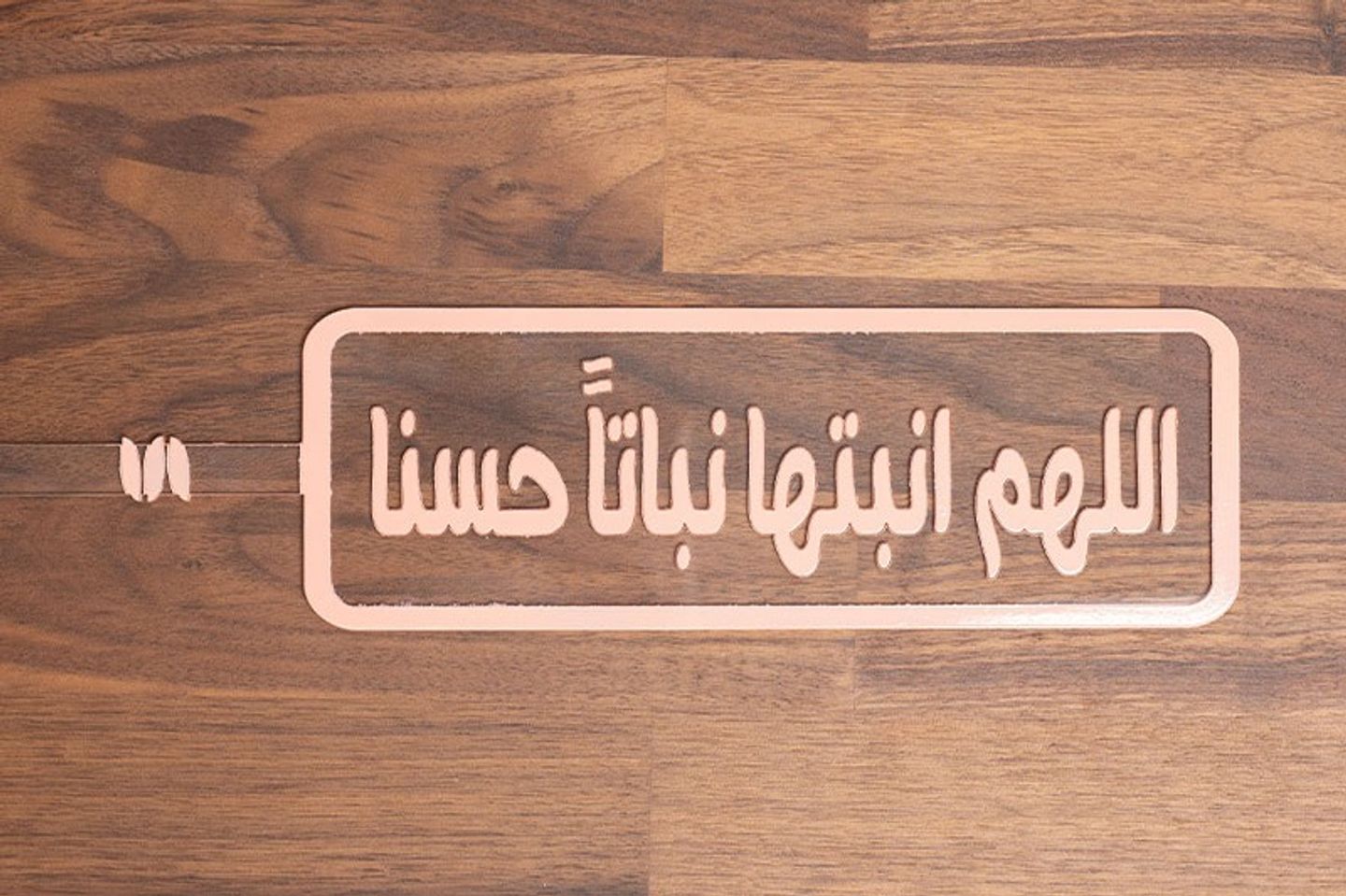 تغريسة اللهم أنبتها نباتآ حسنا / صغير وردي