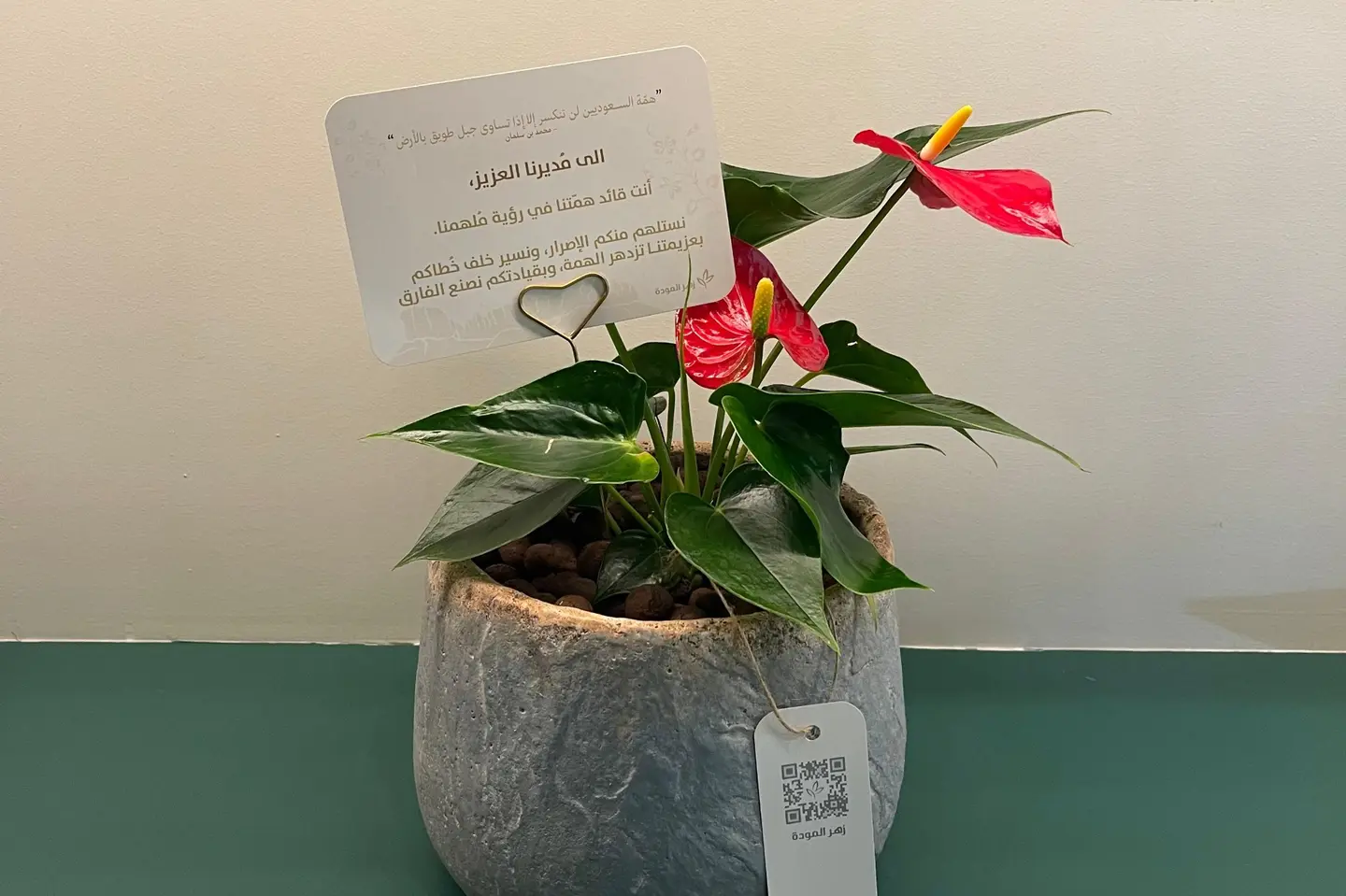 أنت قائد همّتنا في رؤية مُلهمنا