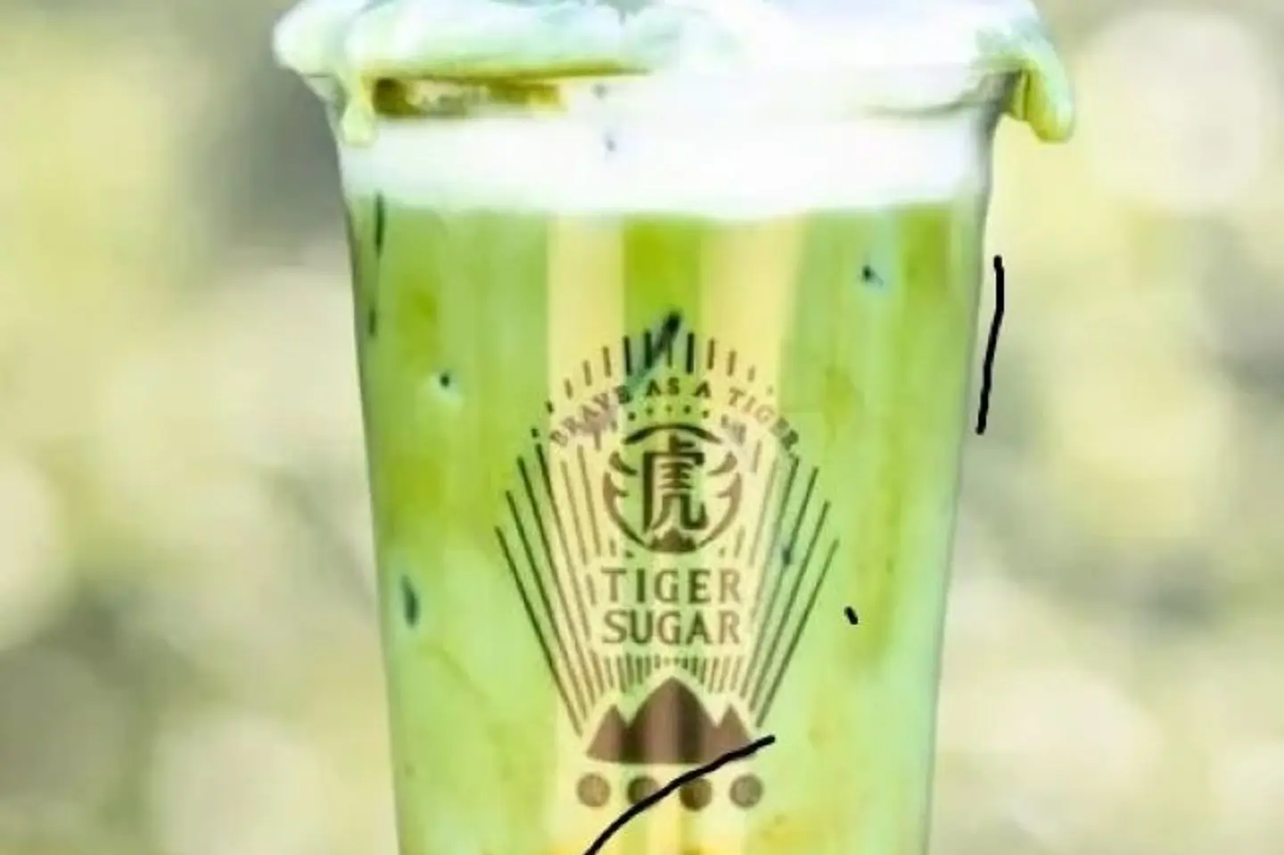 Matcha With Milk And Cream - Hot