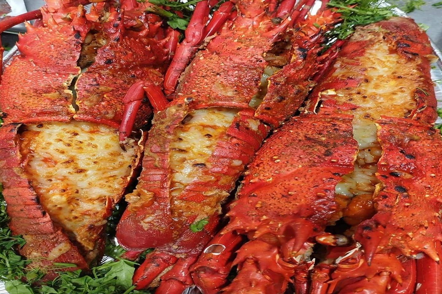 Lobster With Mozzarella 1 Kg