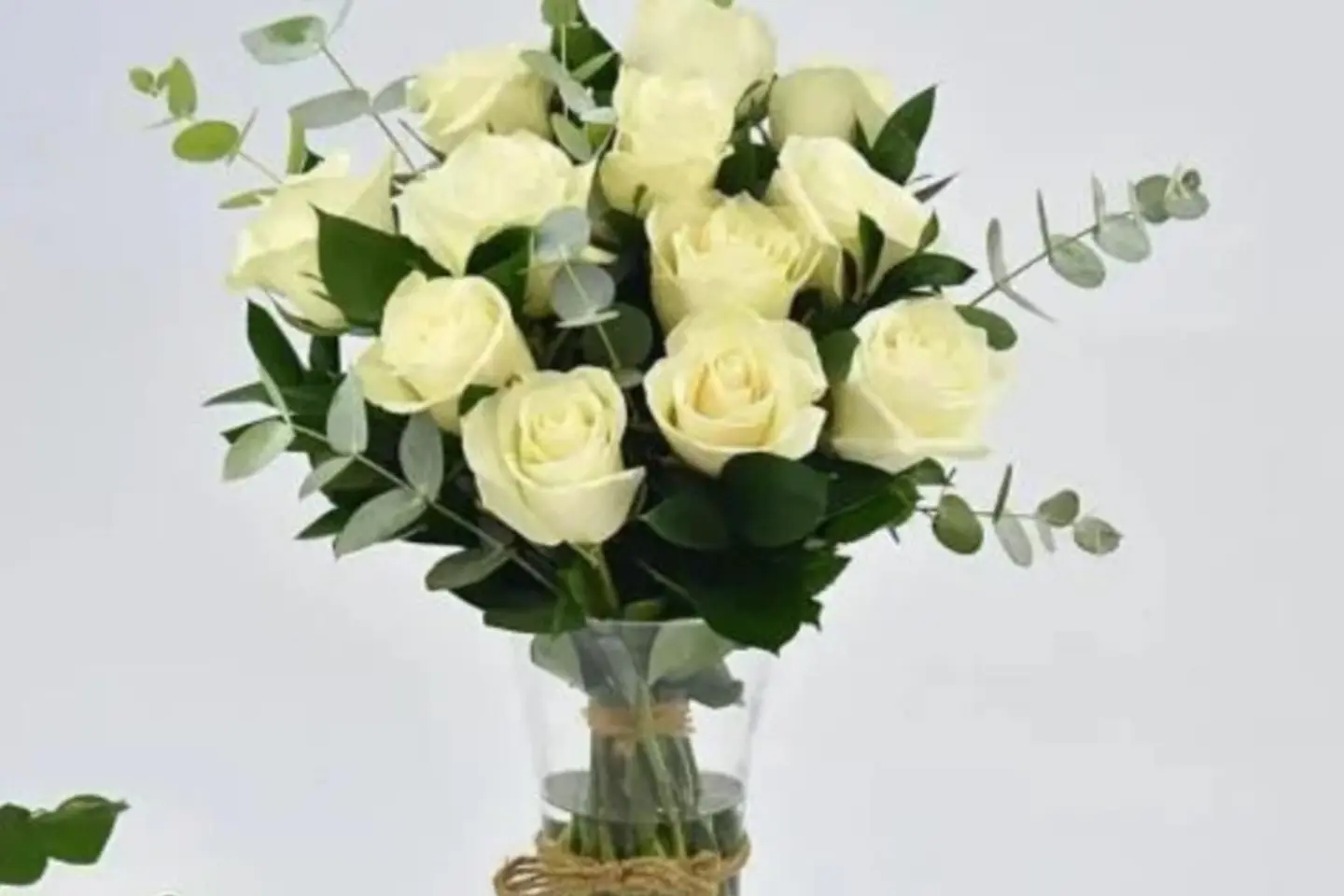 فازة مناسبات