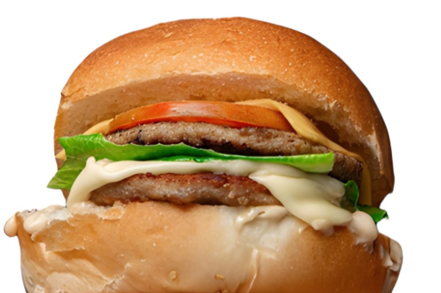 Double Beef Burger Sandwich