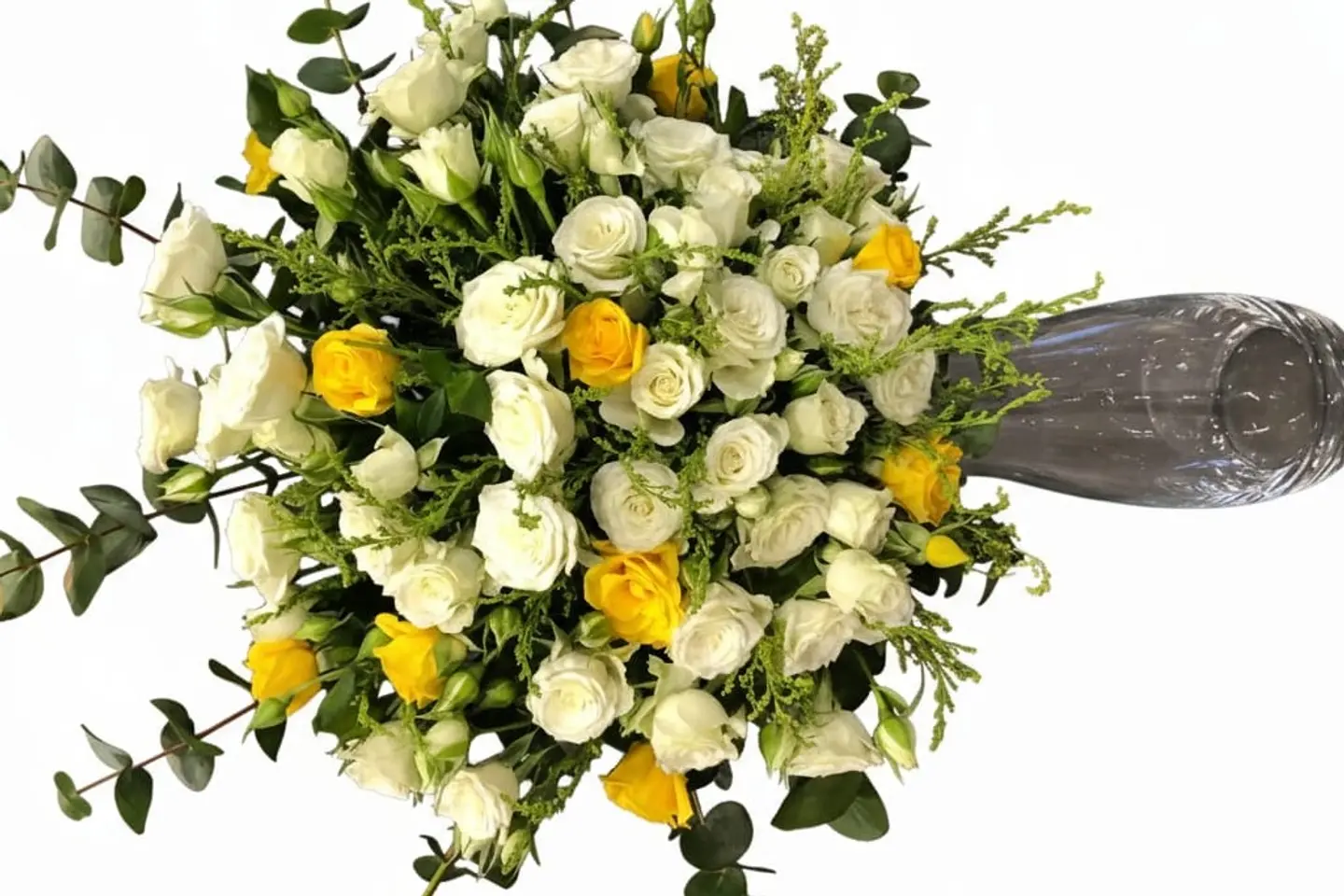 الفازه الانيقه