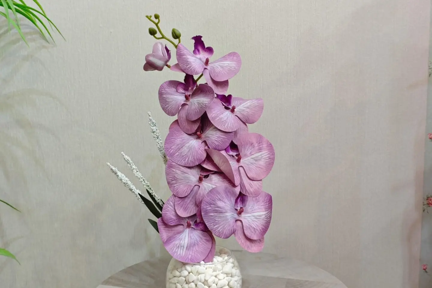 زهرة الأوركيد