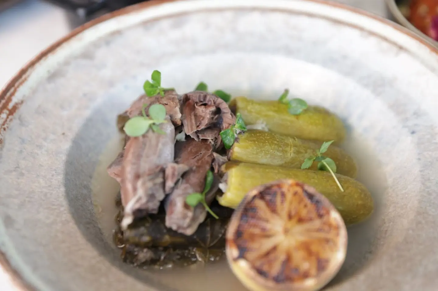 Stuffed Kousa And Vine Leaves