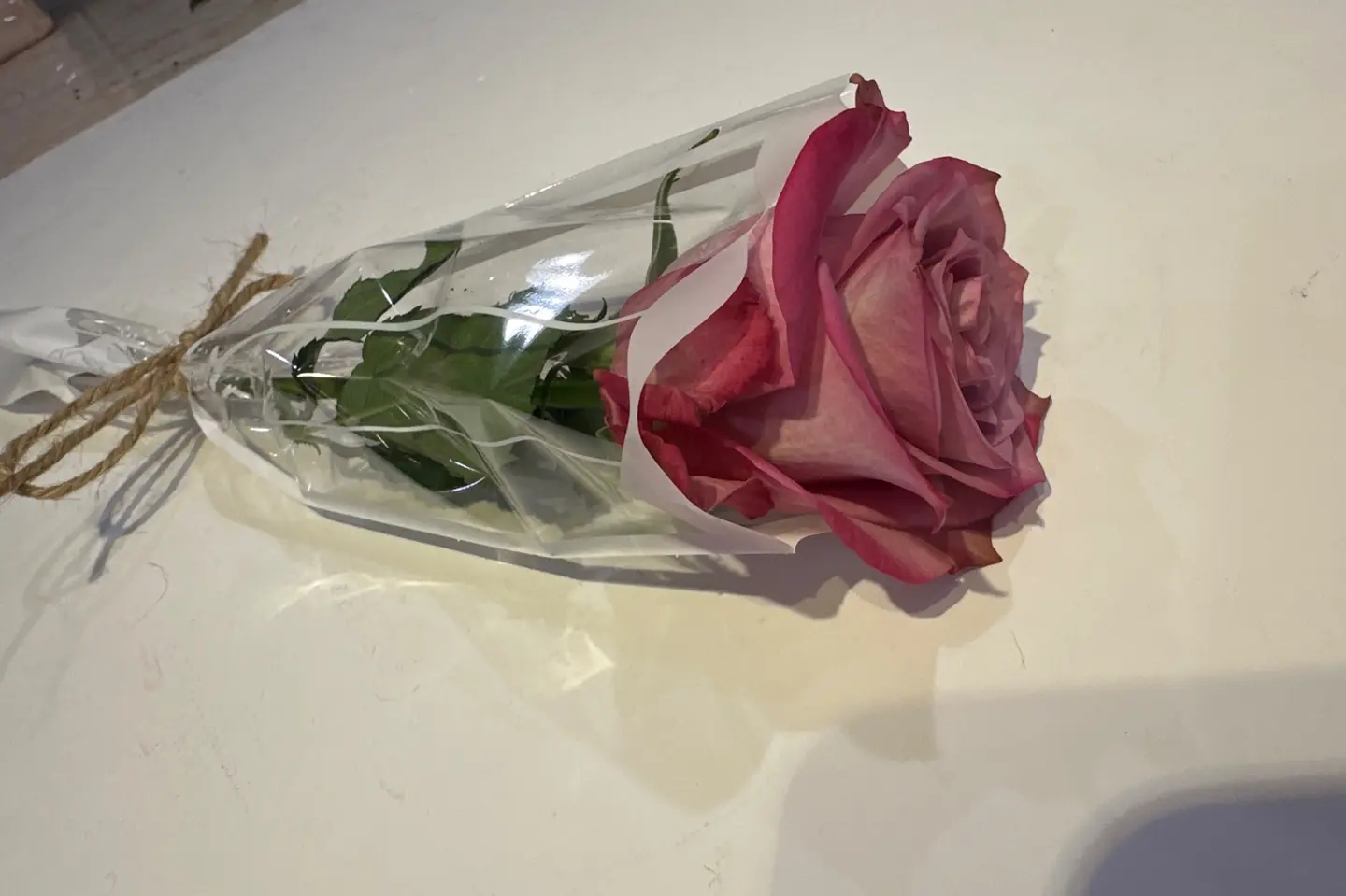 وردة جوري موف دبل كلر