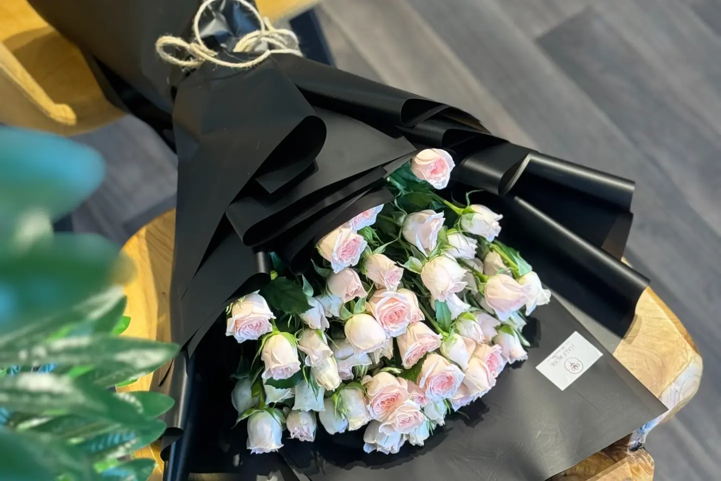 باقة بيبي - موف