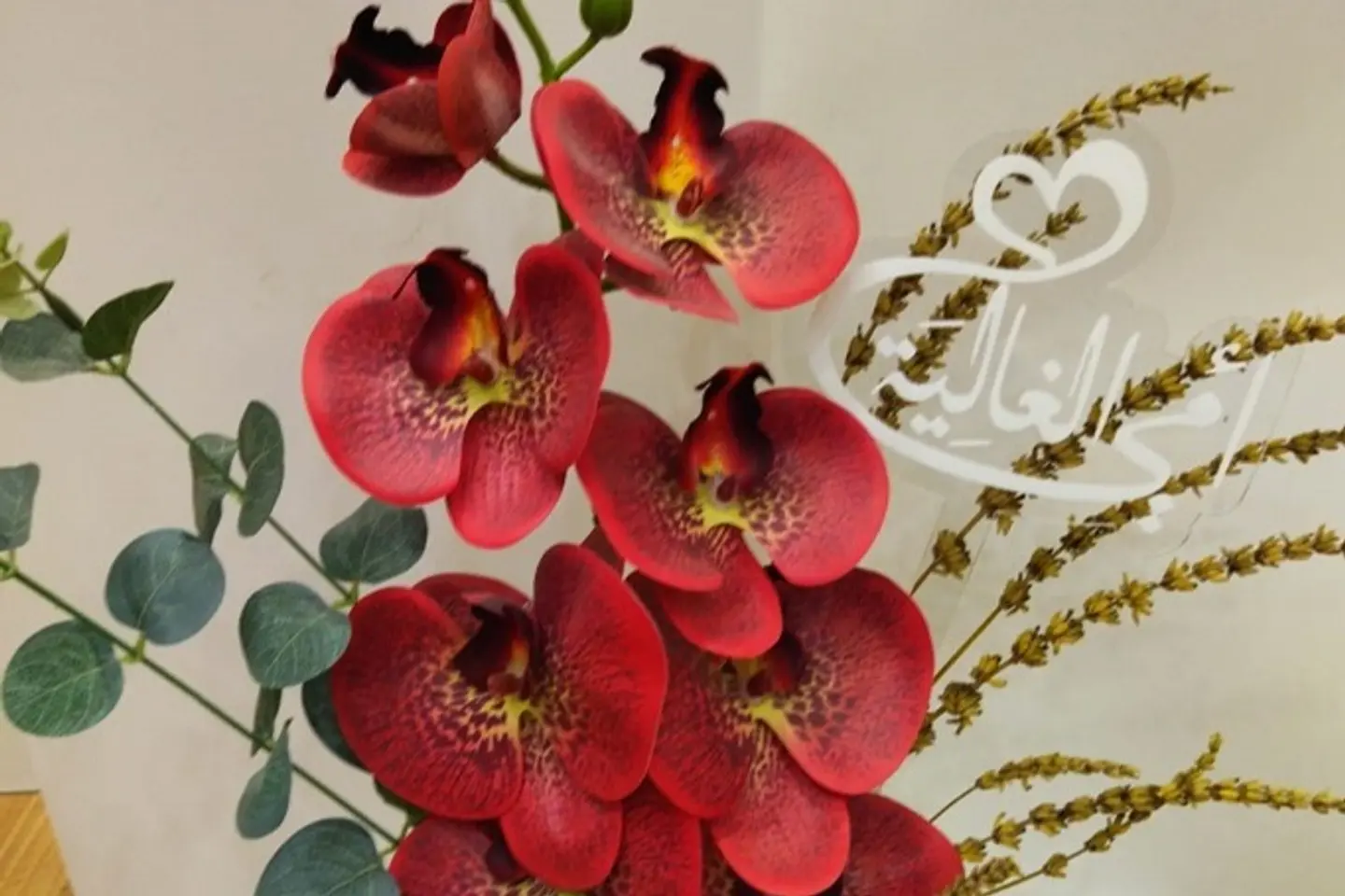 فازة اوركيد أحمر هدية يوم الام