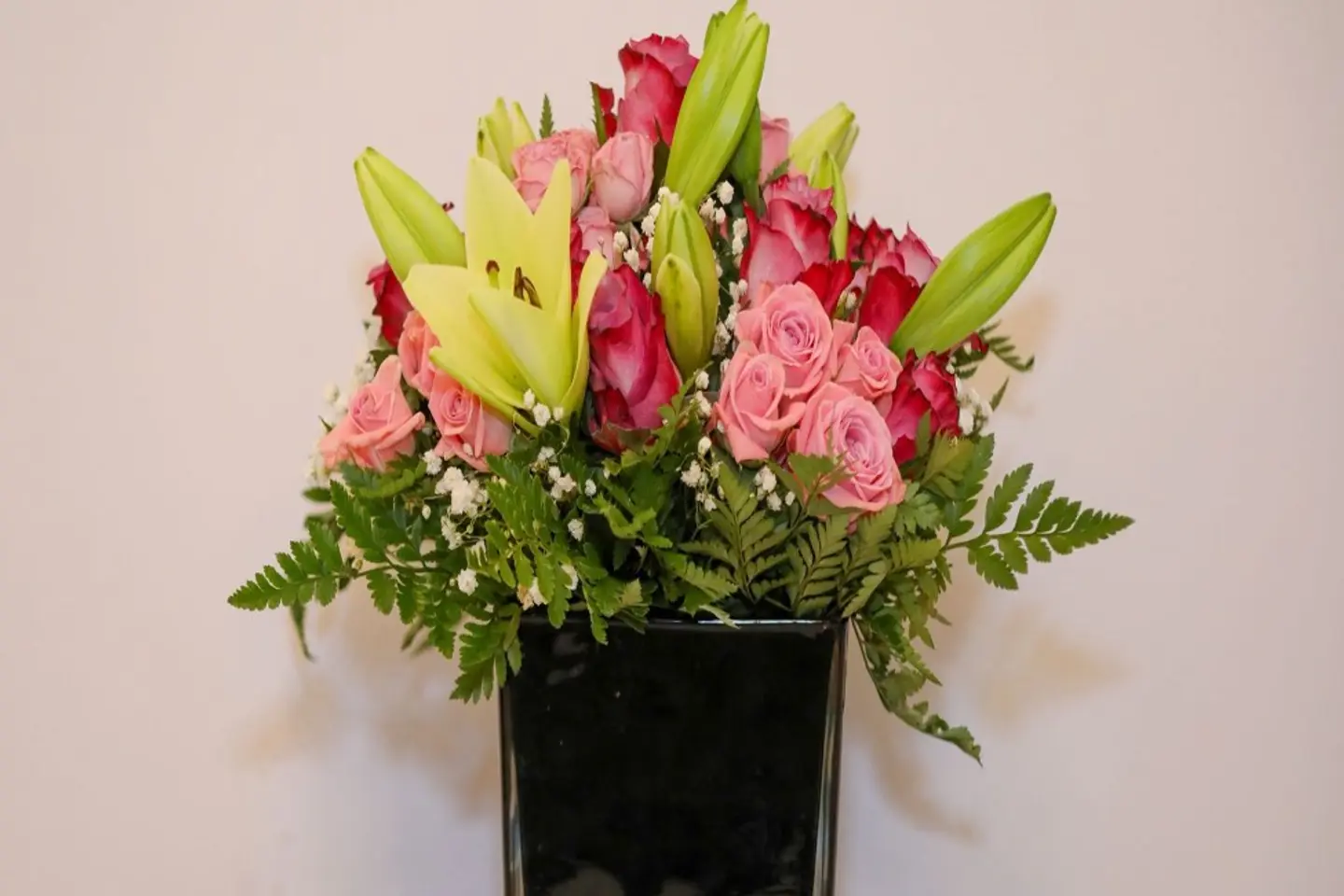 فازة ميدنايت