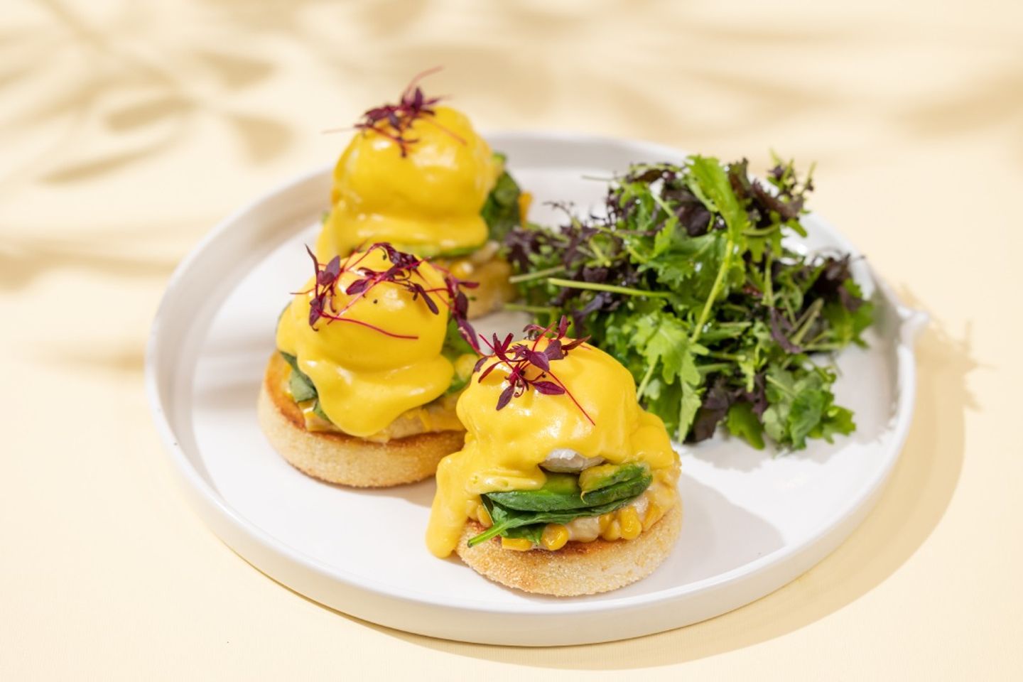 Avocado Benedict