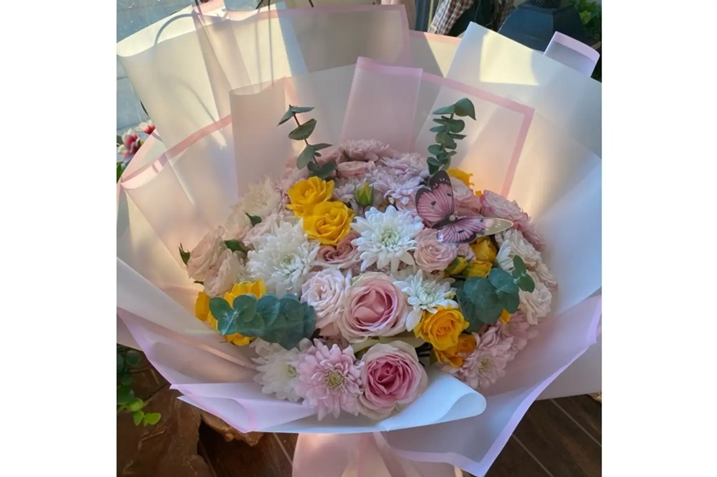 Protea 14