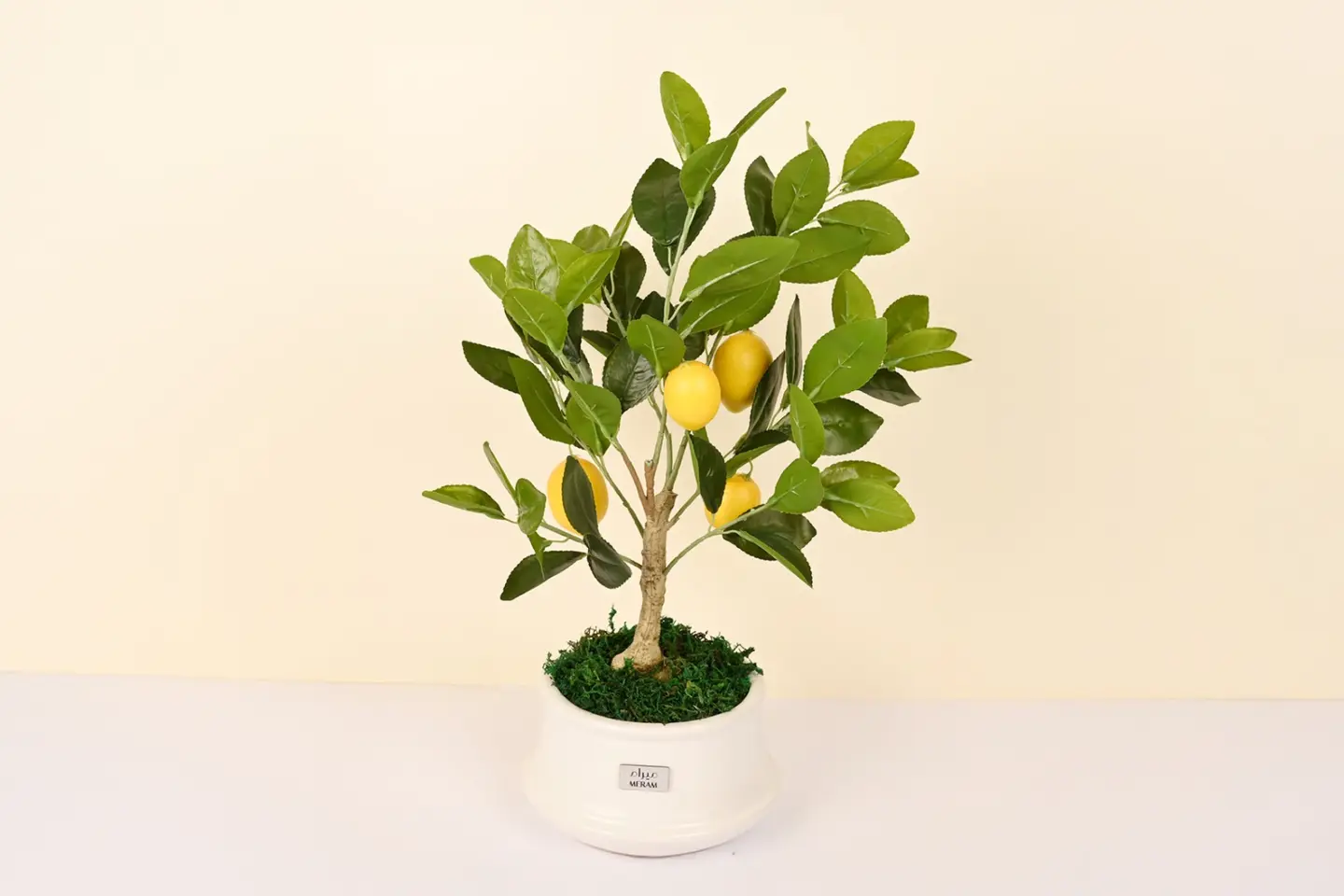 Mini Lemon Tree