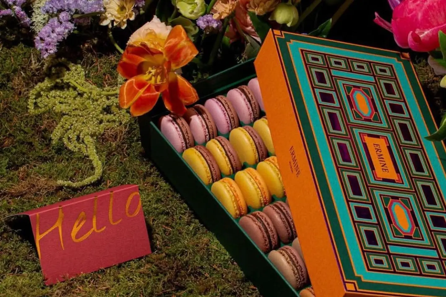 ماكرون ايرماين