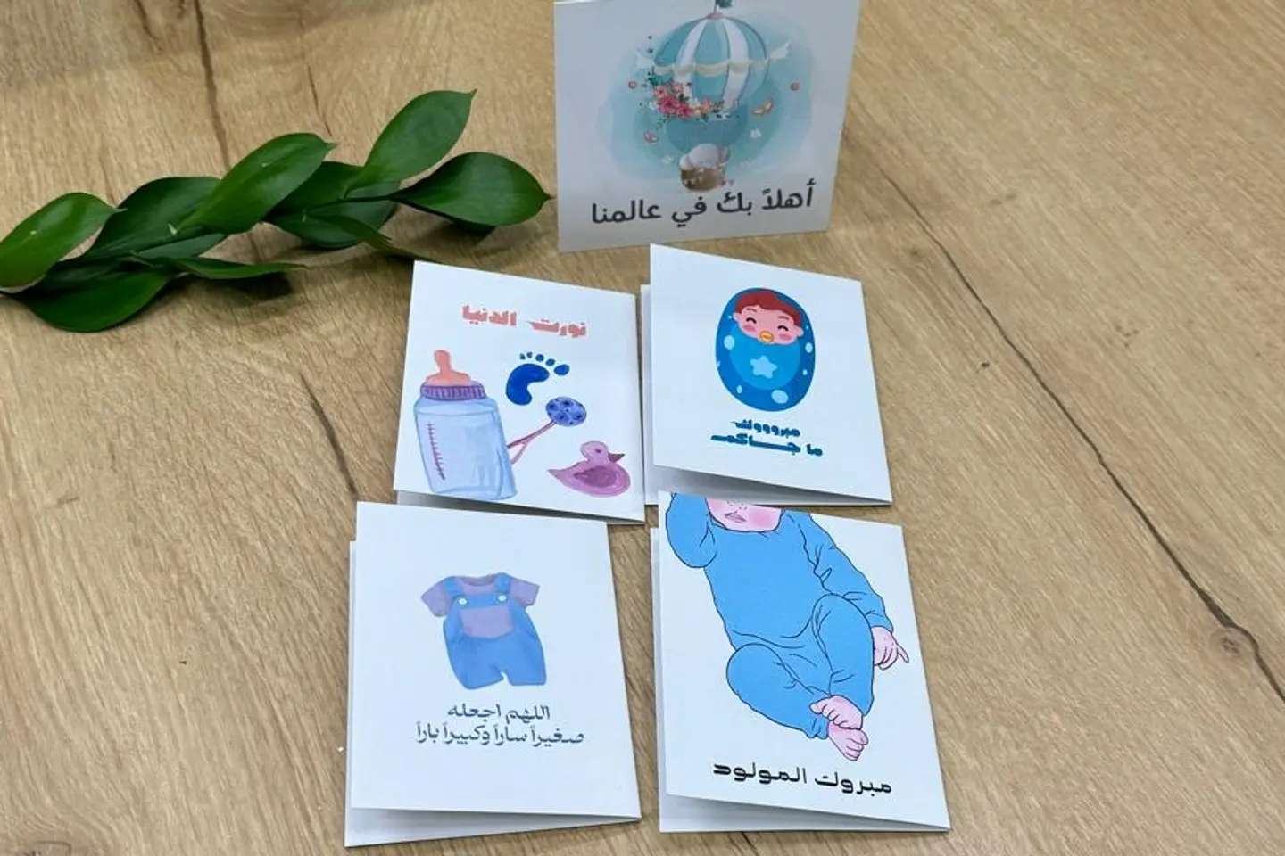 مباركة مولود