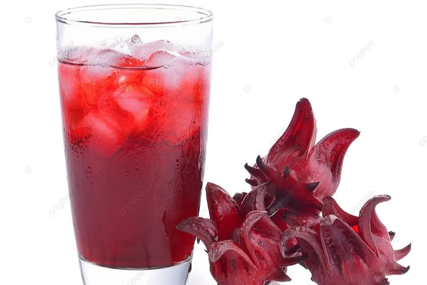 كركديه بارد