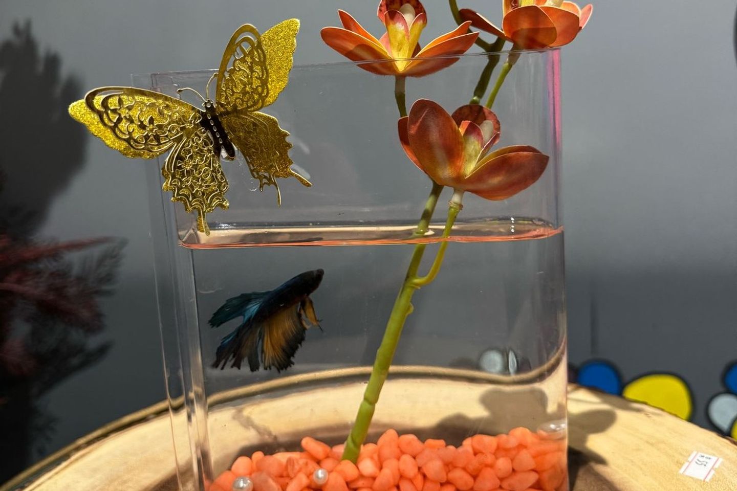 A Fish Tank On A Bookshelf Divider Décor