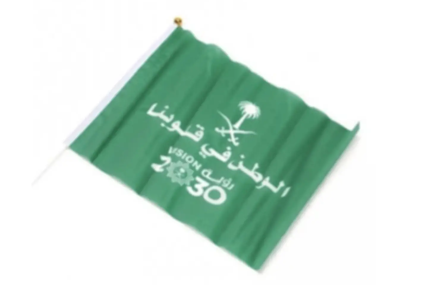 Flag 2030   40x60cm