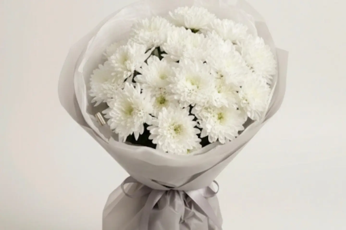 باقة الاقحوان الأبيض