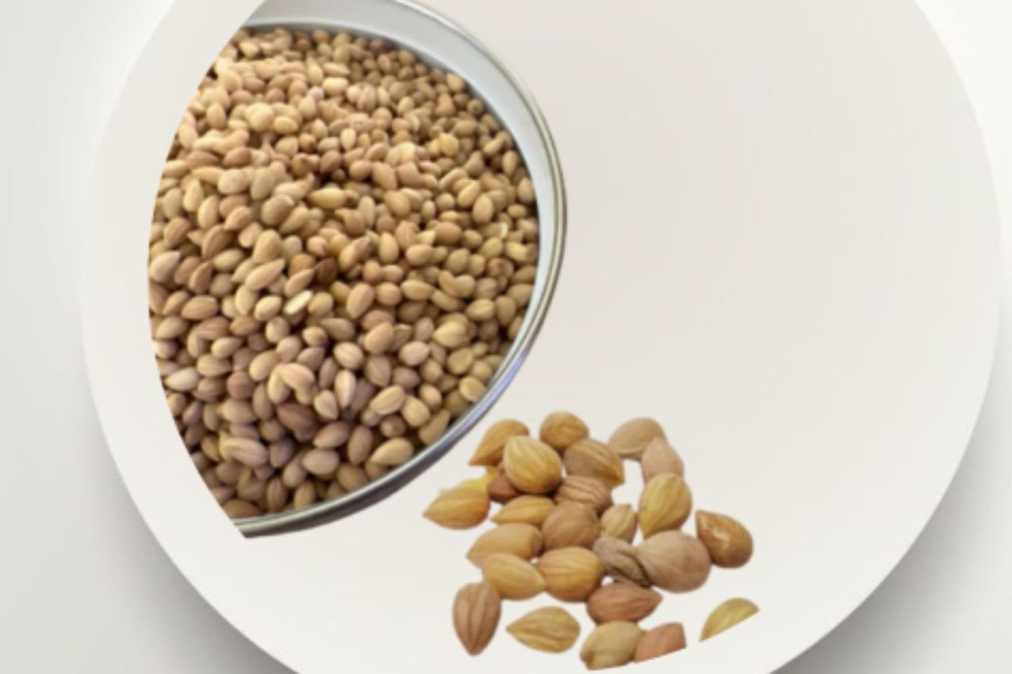 Mahlab Seeds 250g