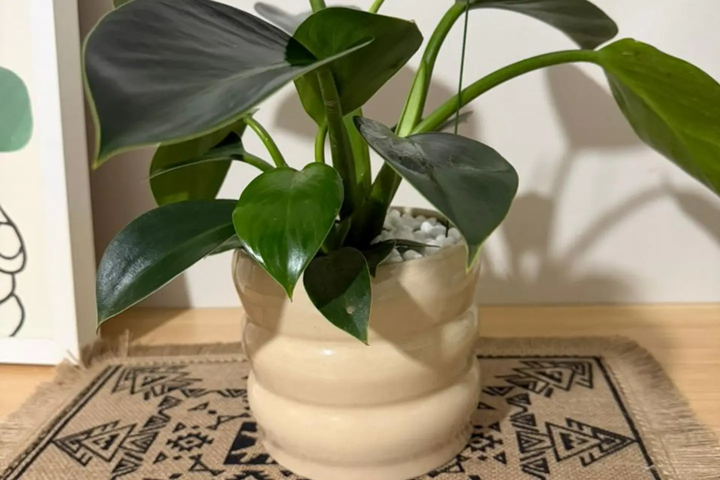 الاميرة الخضراء