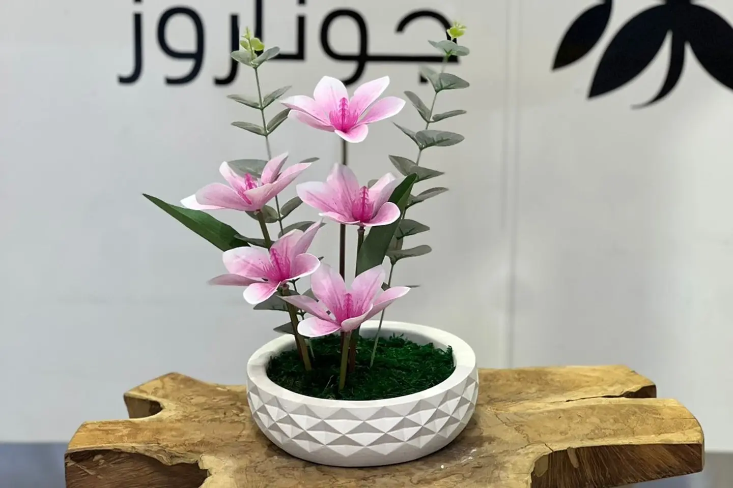 فازات جوناروز ١٠