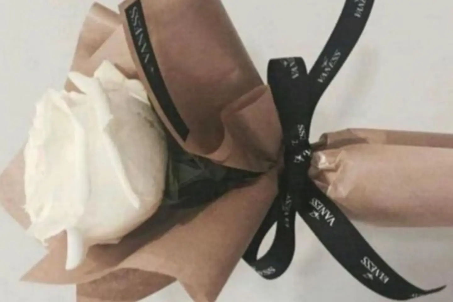 الورده البيضاء