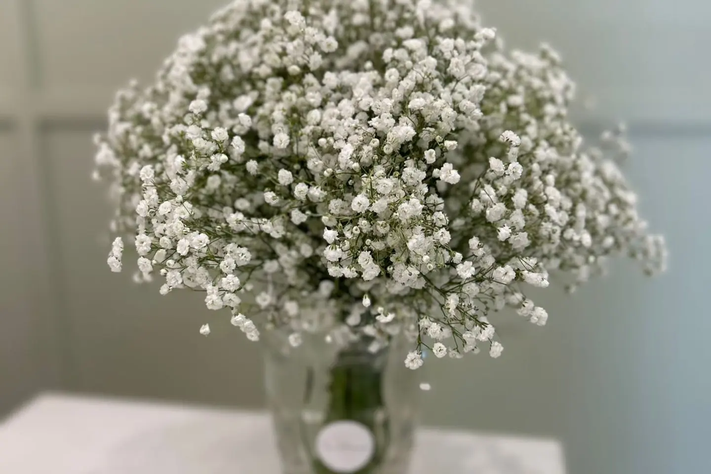 فازه ورد ٠١٠