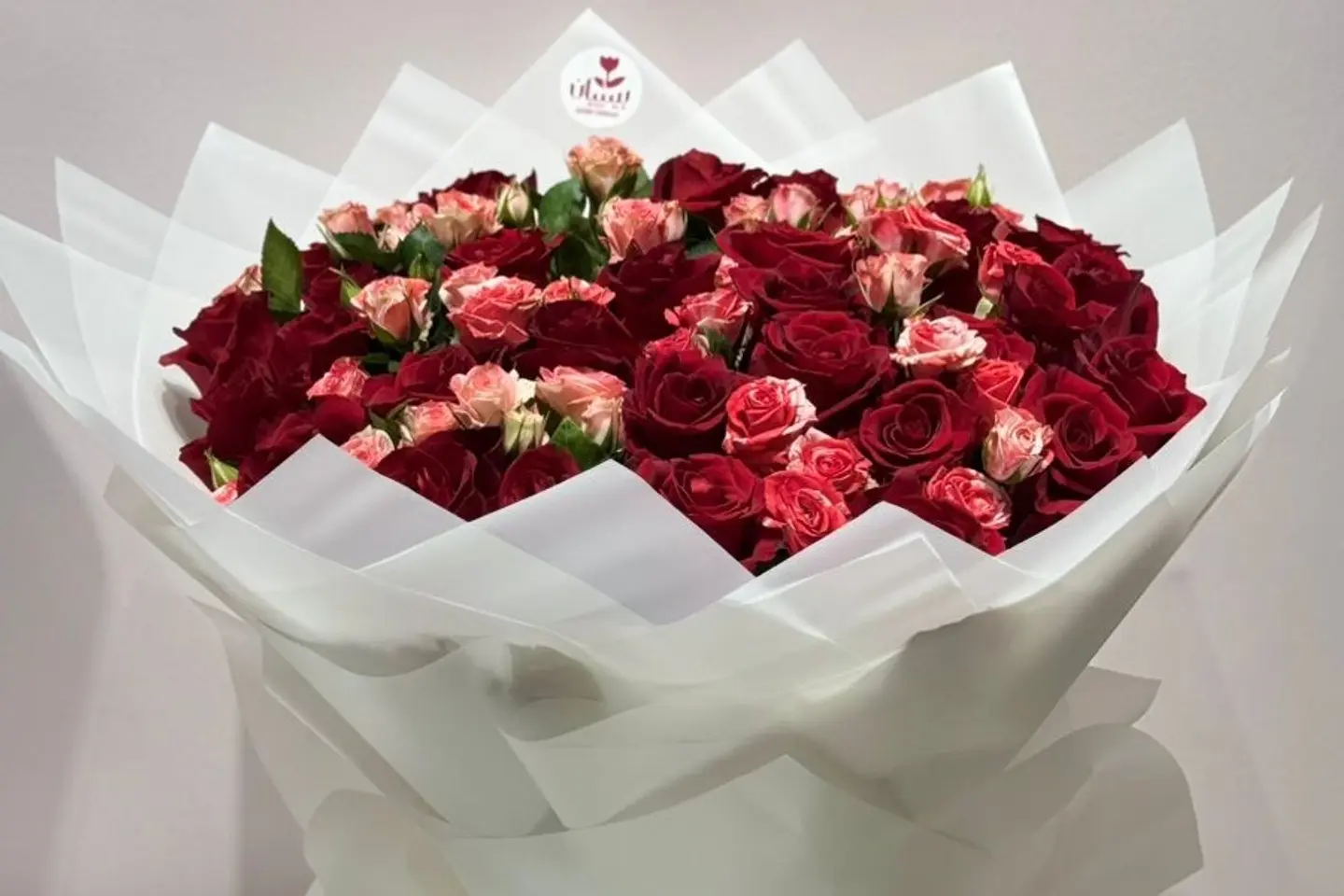 Bebe Rooz Red And Dbll