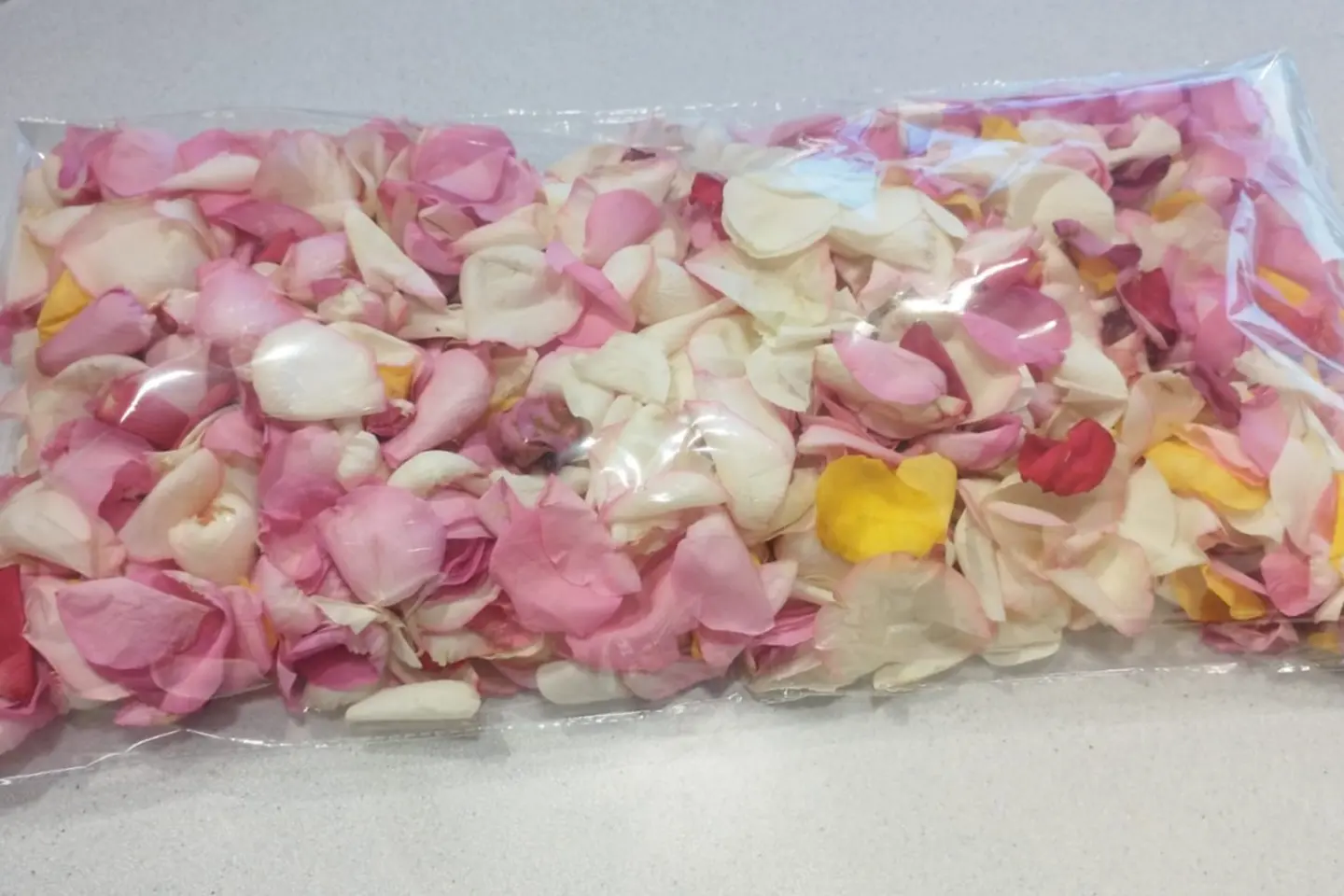 Scattered Roses