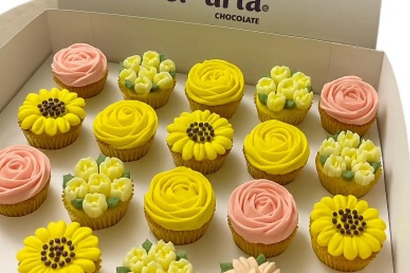 Mini Cupcake Box Small Delici