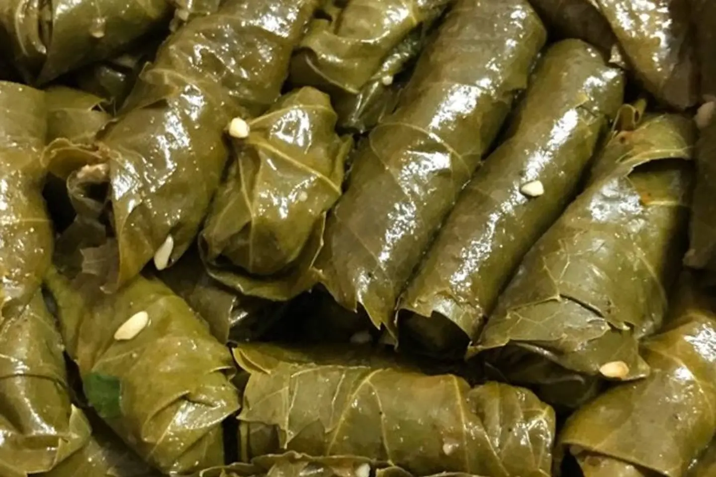 محشى ورق عنب