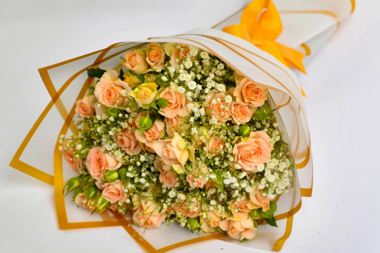 وردة و شتلة ٠٠٠٠٢