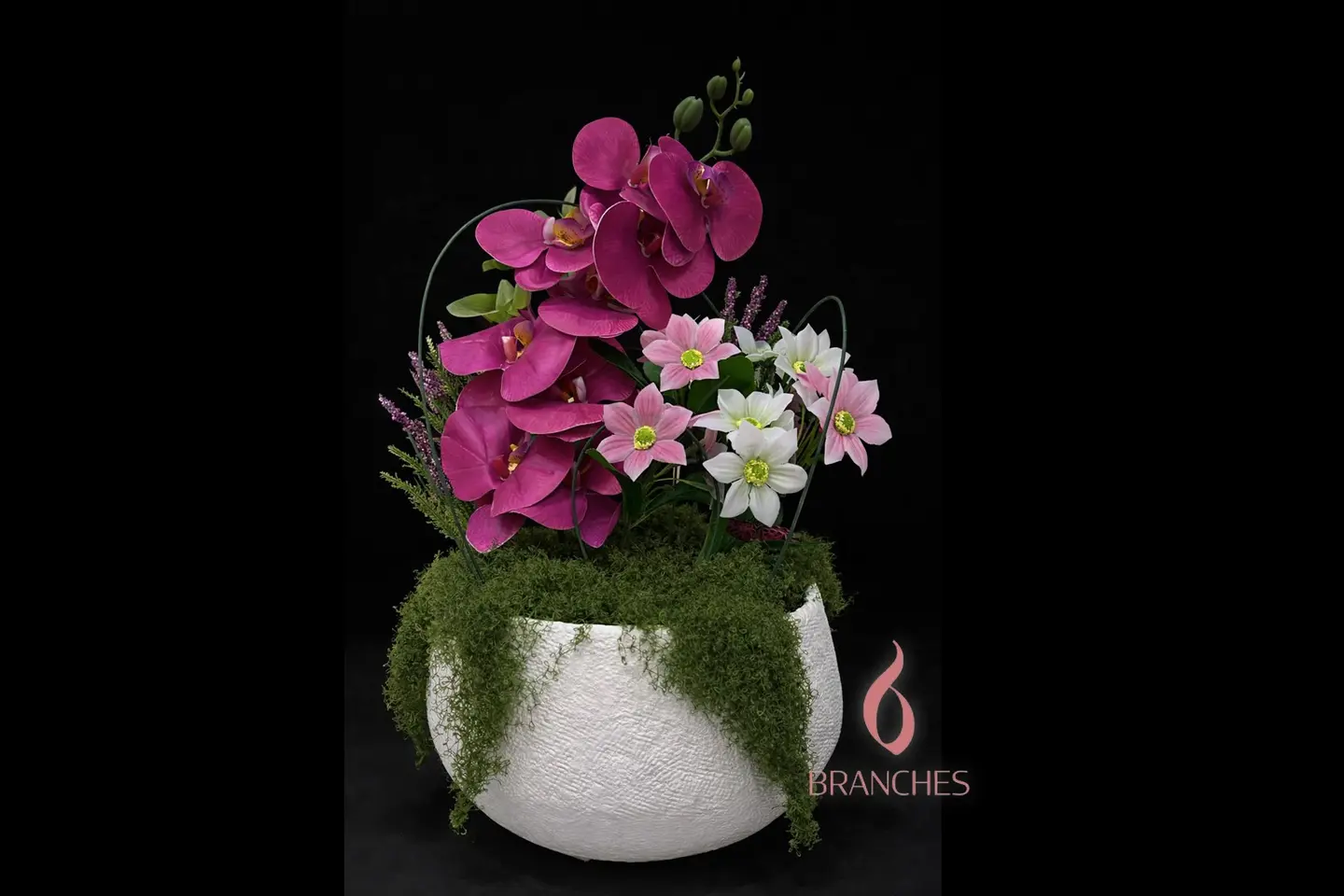 ٢٠٣ جبسية اللافندر