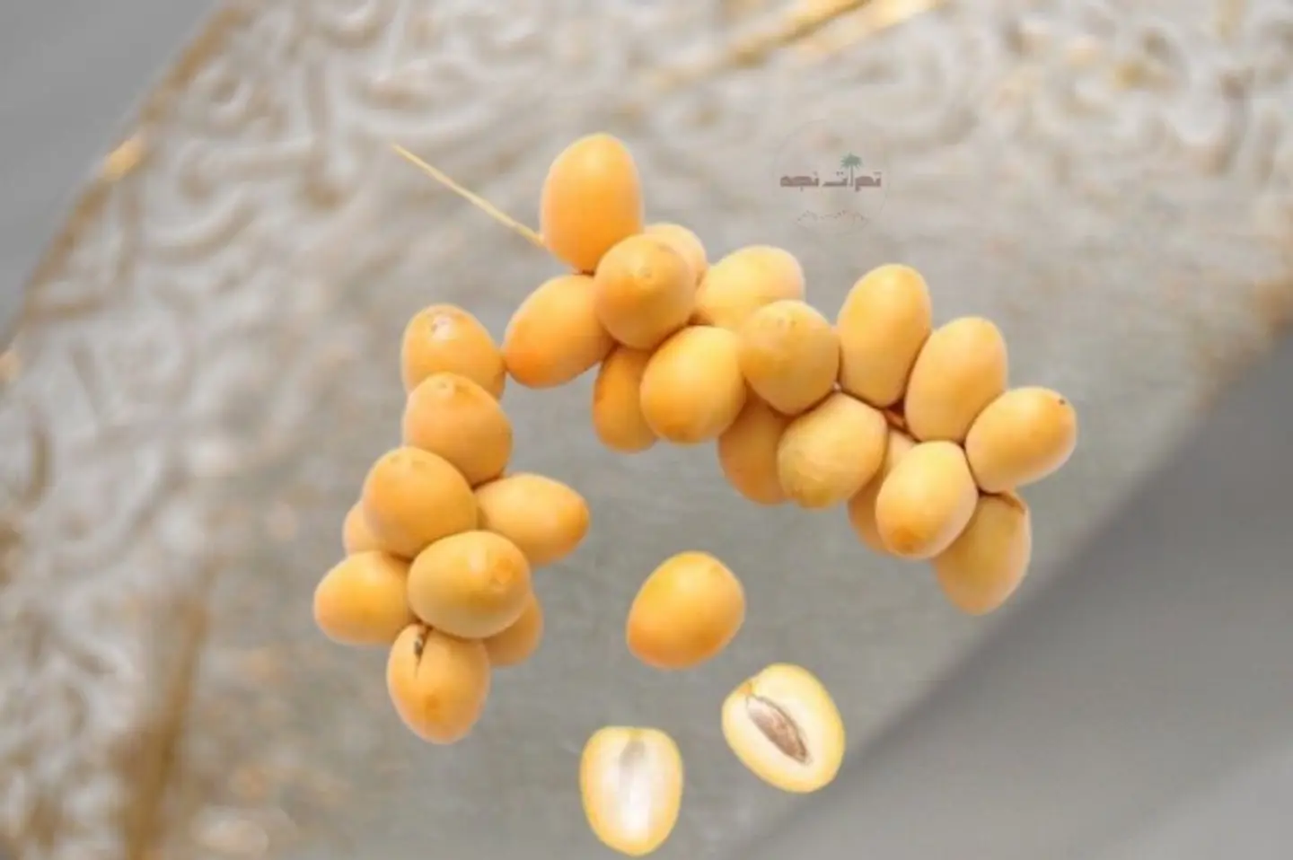 رطب برحي القصيم سطل