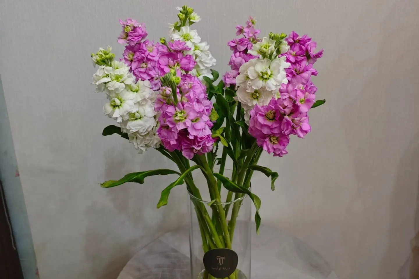 زهور ماتيلا