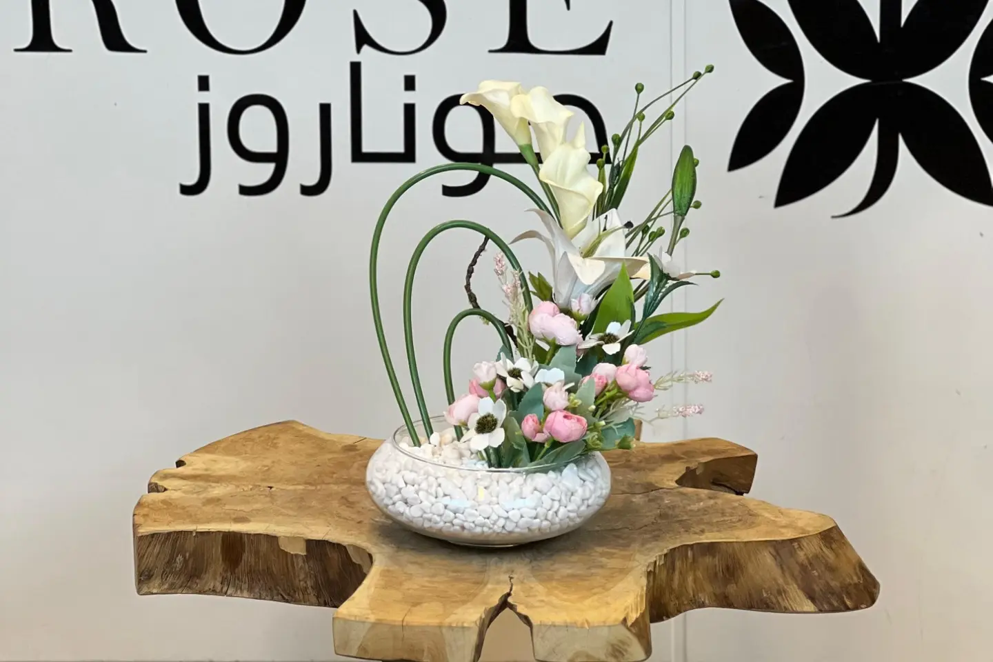 فازات جوناروز ١٦