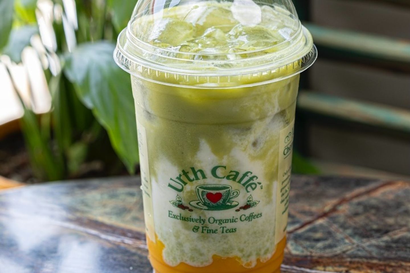 Mango Matcha