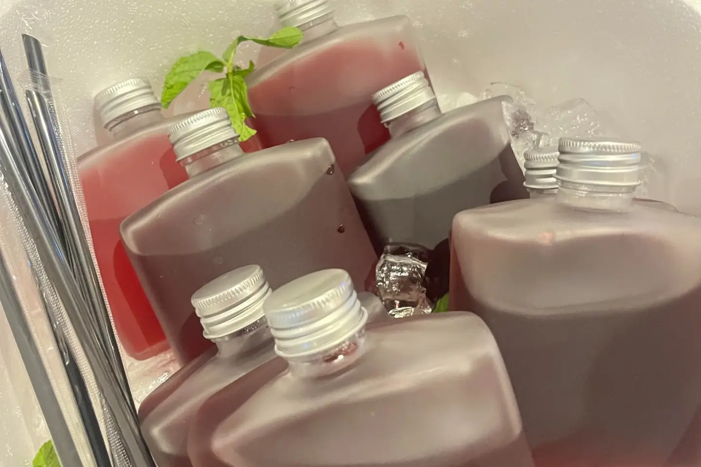 Box Hibiscus 8